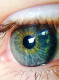 Cirurgia de glaucoma | COH